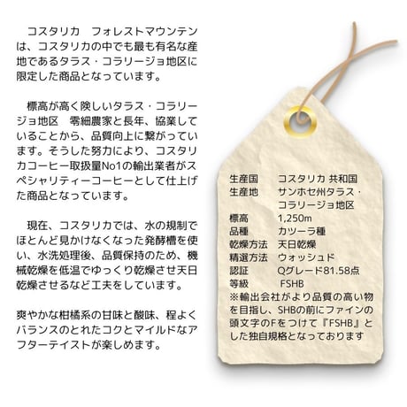ドリップバッグ　13g　１１コスタリカ 『フォレストマウンテン』 カツーラ種
