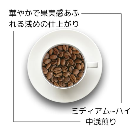 １エチオピア モカ シダモG-1シャキッソ『モルドコフ 』 ナチュラル 200g 農薬化学肥料不使用