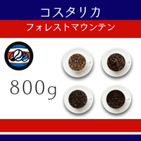 １１コスタリカ 『フォレストマウンテン』 カツーラ種　800g