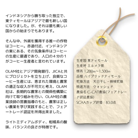 １０東ティモール『エルメラ』ウォッシュド　100g