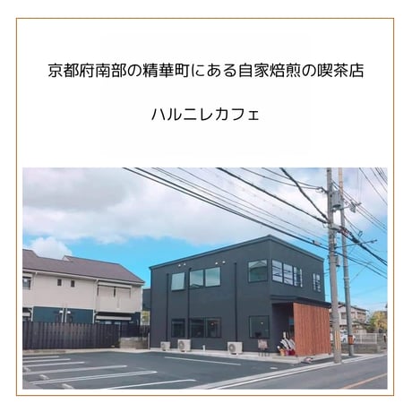 ドリップバッグ　15g　9インドネシア アチェ マンデリンG-1『ルーサー パンタン カウカ農園』農薬化学肥料不使用