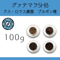 ８グァテマラSHB ラス・ロラス農園 ブルボン種　100g