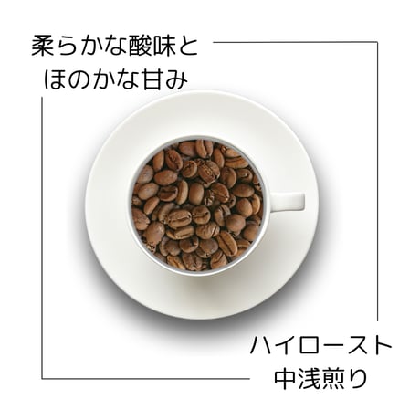 ８グァテマラSHB ウエウエテナンゴ 有機栽培 Qグレード 200g
