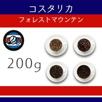１１コスタリカ 『フォレストマウンテン』 カツーラ種　200g