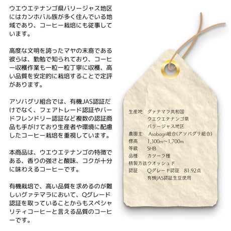 ８グァテマラSHB ウエウエテナンゴ 有機栽培 Qグレード 200g