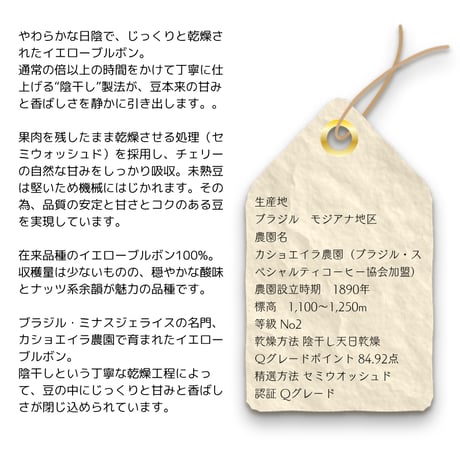 ７ブラジル 陰干しコーヒー カショエイラ農園 イエローブルボン　100g