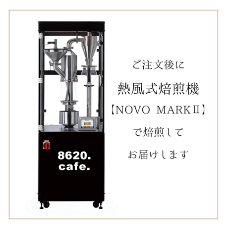 ７ブラジル 陰干しコーヒー カショエイラ農園 イエローブルボン　100g