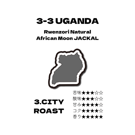 【3-3】13g200cc【シティロースト】ウガンダ『アフリカンムーン ジャッカル』ナチュラル　ドリップバッグ