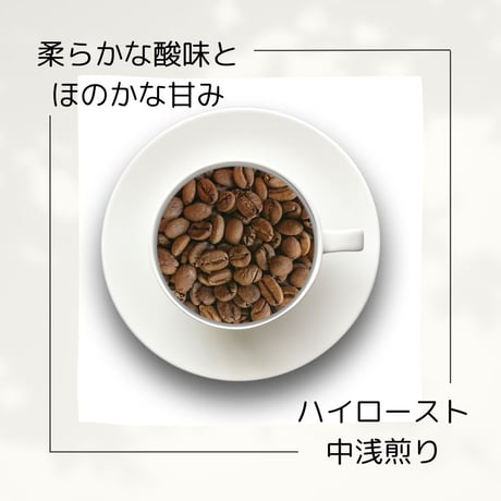 １０東ティモール『エルメラ』ウォッシュド 有機JAS認証生豆使用　400g