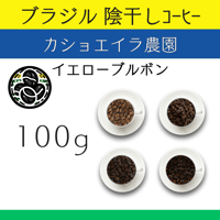 ７ブラジル 陰干しコーヒー カショエイラ農園 イエローブルボン　100g