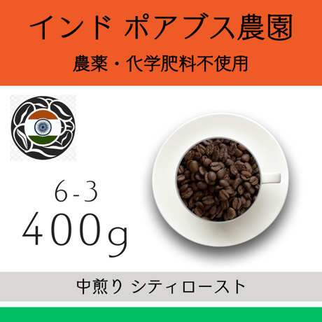 【定期便】中煎り 400g