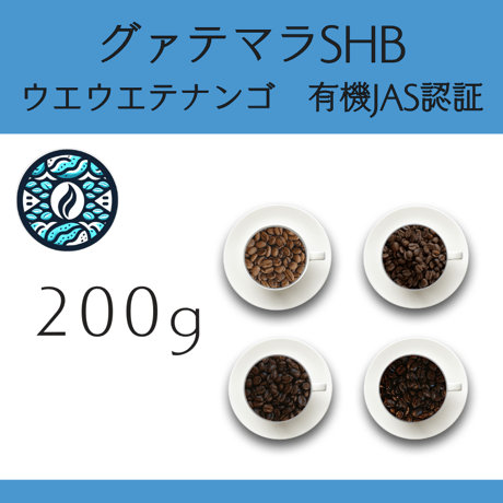 ８グァテマラSHB ウエウエテナンゴ 有機栽培 Qグレード 200g