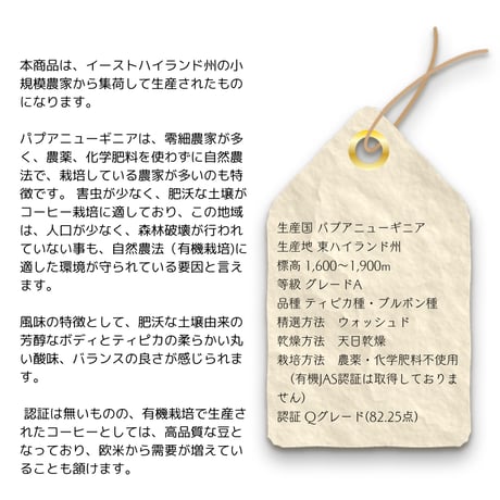 １６パプアニューギニア『ワイルドハイランド』ウォッシュド　800g　農薬化学肥料不使用