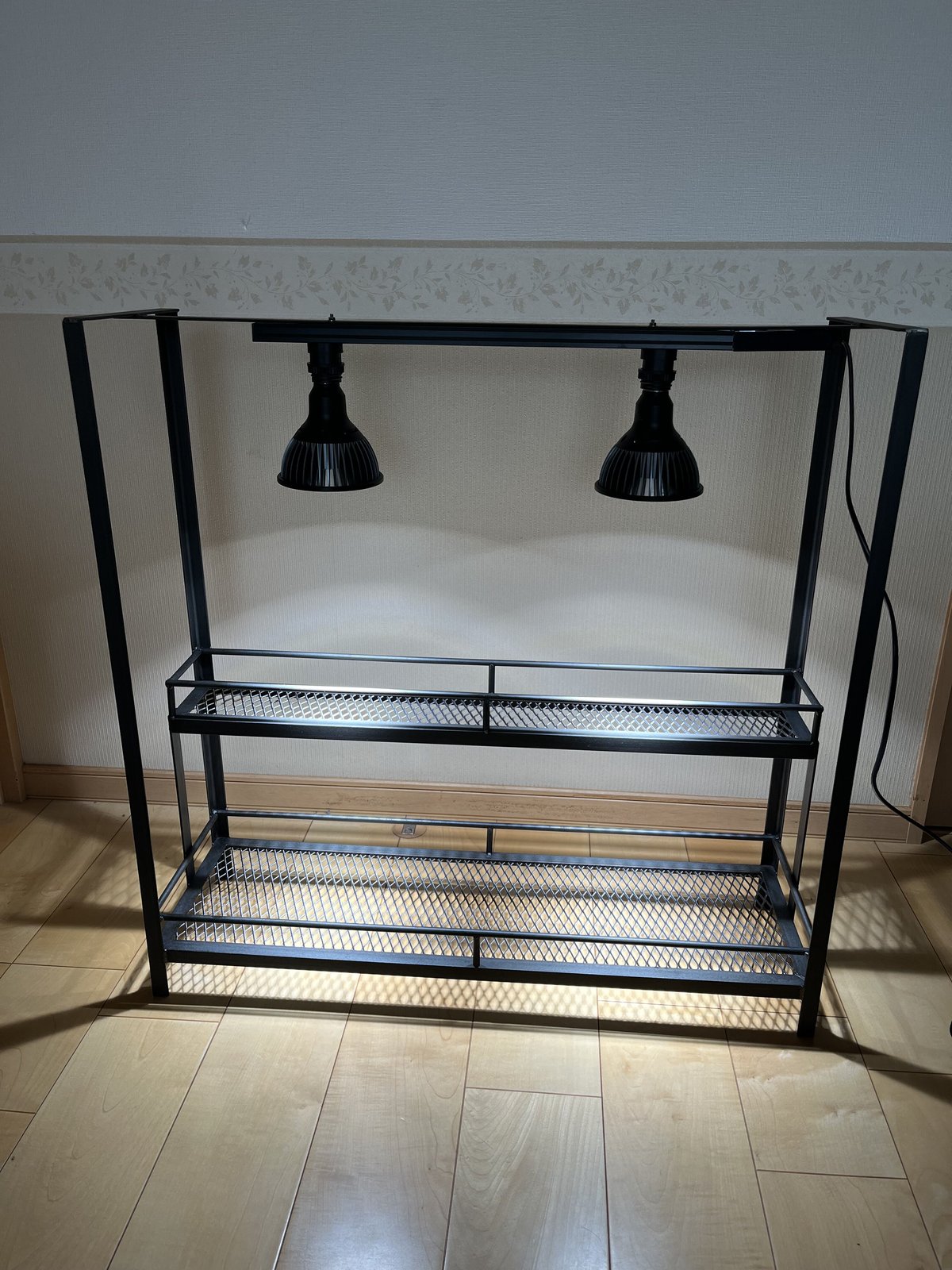 ☆送料込み☆アイアンシェルフ　オーダー制　植物棚　ボタニカルシェルフ　アガベ多肉 ☆送料込み☆アイアンシェルフ即購入OK 植物棚 ボタニカルシェルフ