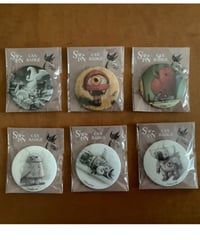 缶バッジ＜コアラ＞ | ShaunTan_JP STORE
