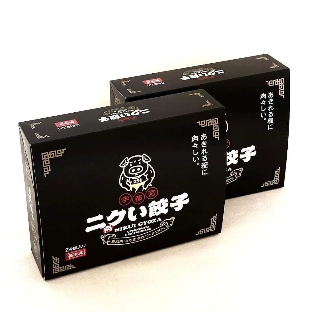 餃子二点 ニクい餃子 2パック(24個入☓2パック) | ニクい餃子