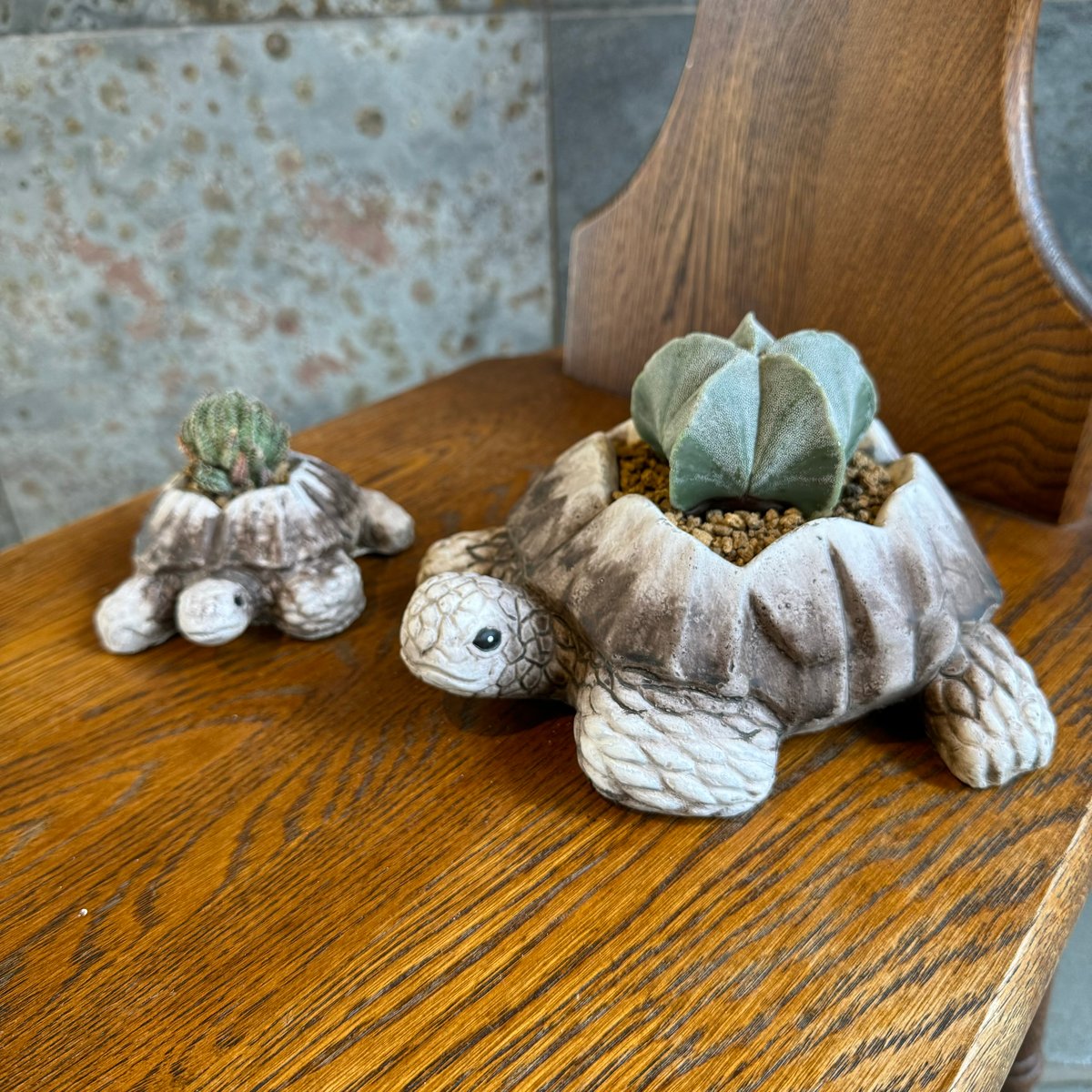 【オーストラリア産】オパールカービング(親子亀モチーフ) オーストラリア産】オパールカービング(親子亀モチーフ) ビズー