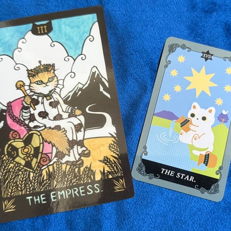 猫のタロットが導く、あなただけの未来ヒーリング