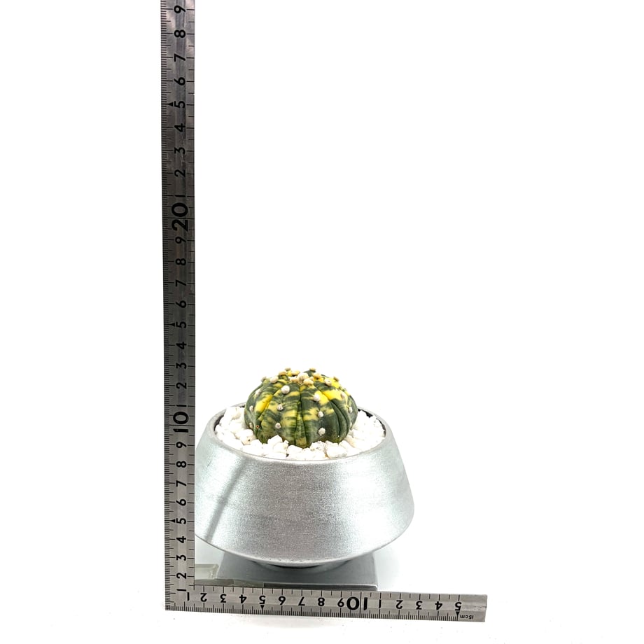 69cc94085d2d4e2f9a571e33