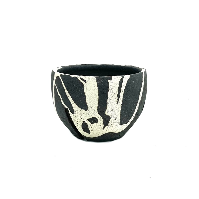 沼野秀章 】 黒ニ白（X102） | LEO.