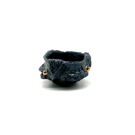 CATEGORY 平松 龍馬 | LEO.