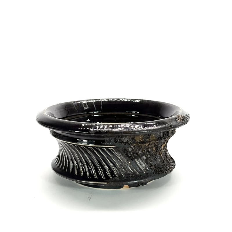 Wild Heaven 】 平鉢（X110） | LEO.