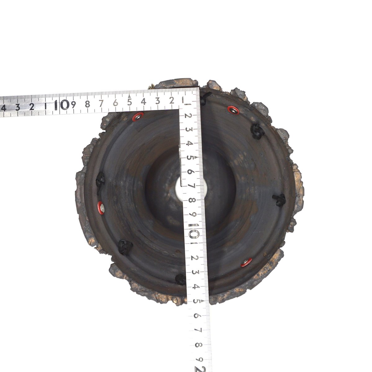 YT−YF】 Venom, XL size, Black （P238） | LEO.