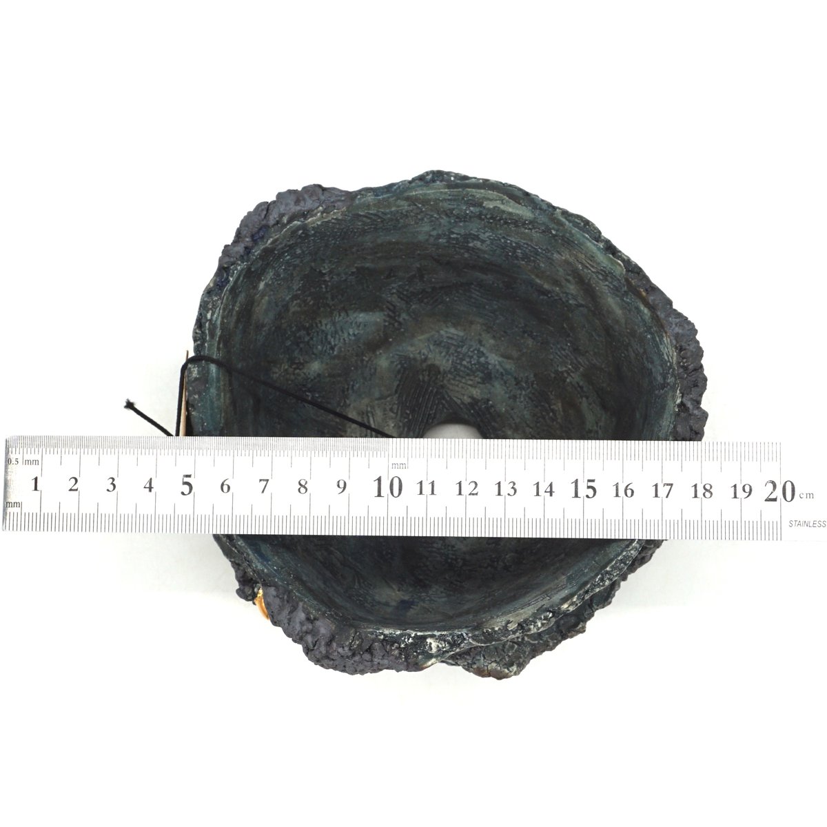 平松龍馬】亀烈文金彩植木鉢 5号（P704） | LEO.