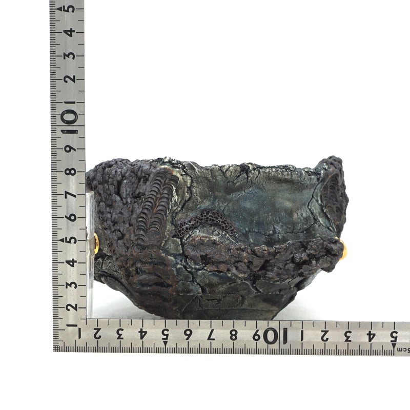 平松龍馬】亀烈文金彩植木鉢 5号（P704） | LEO.