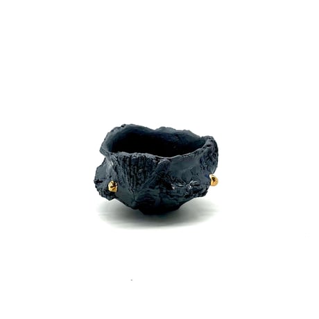 CATEGORY 平松 龍馬 | LEO.