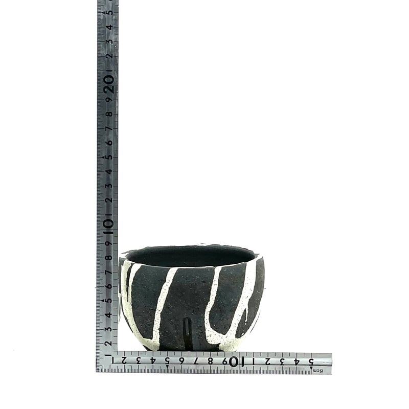 沼野秀章 】 黒ニ白（X102） | LEO.