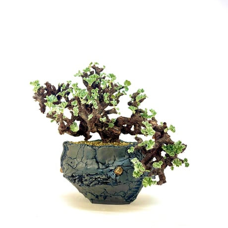 ミラビレ | STORES