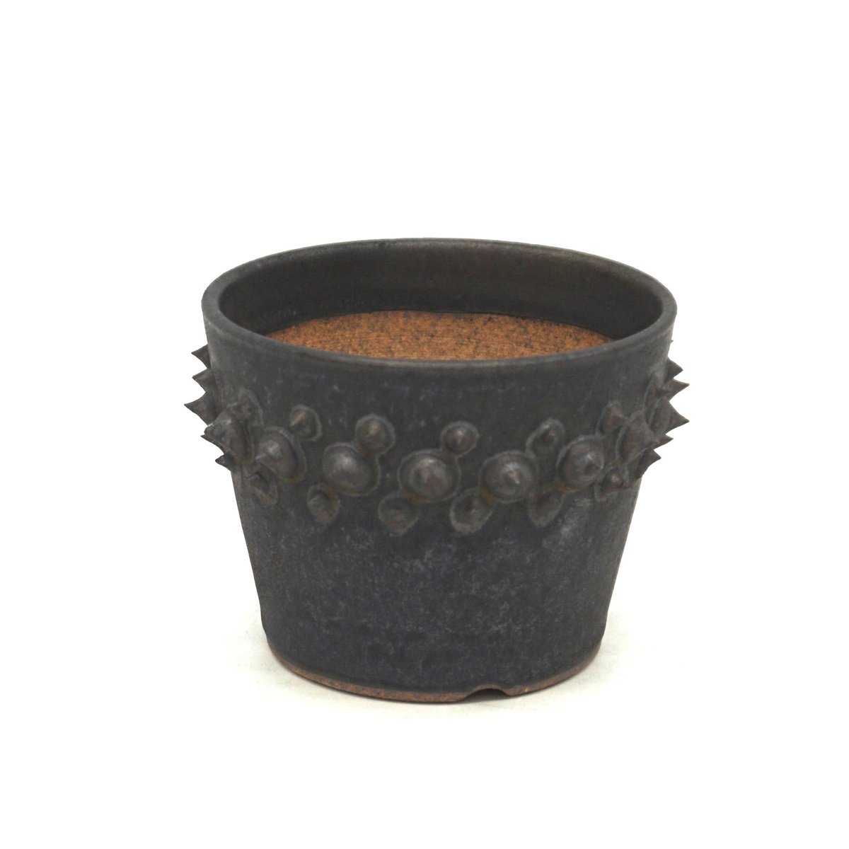 新品未使用 阪本健 作家鉢 植木鉢 黒 阪本健 植木鉢 鉢 作家鉢