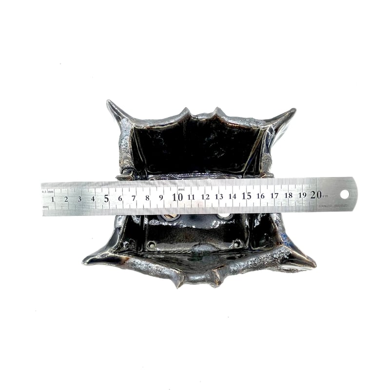 wildbones出品 Wild Heaven】角鉢（P860） | LEO.