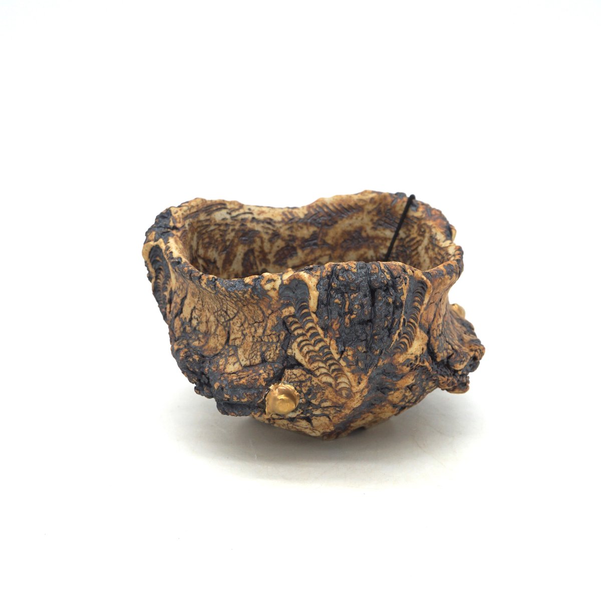 平松龍馬】亀烈文金彩植木鉢 3号（P705） | LEO.