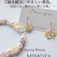 MIMOZA─ご縁を結ぶ、やさしい黄色─