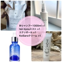 リピーター様セット（送料無料）