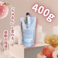 秒トリートメント　400g