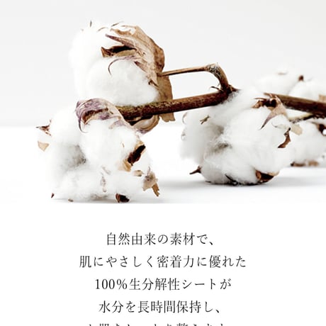 モイストパワーシートマスク