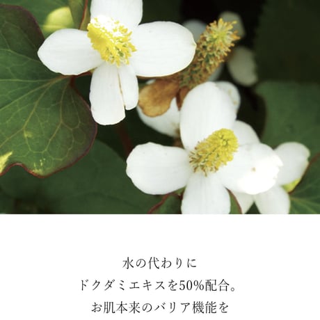 モイストパワーシートマスク