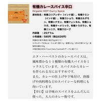 有機カレースパイス　辛口