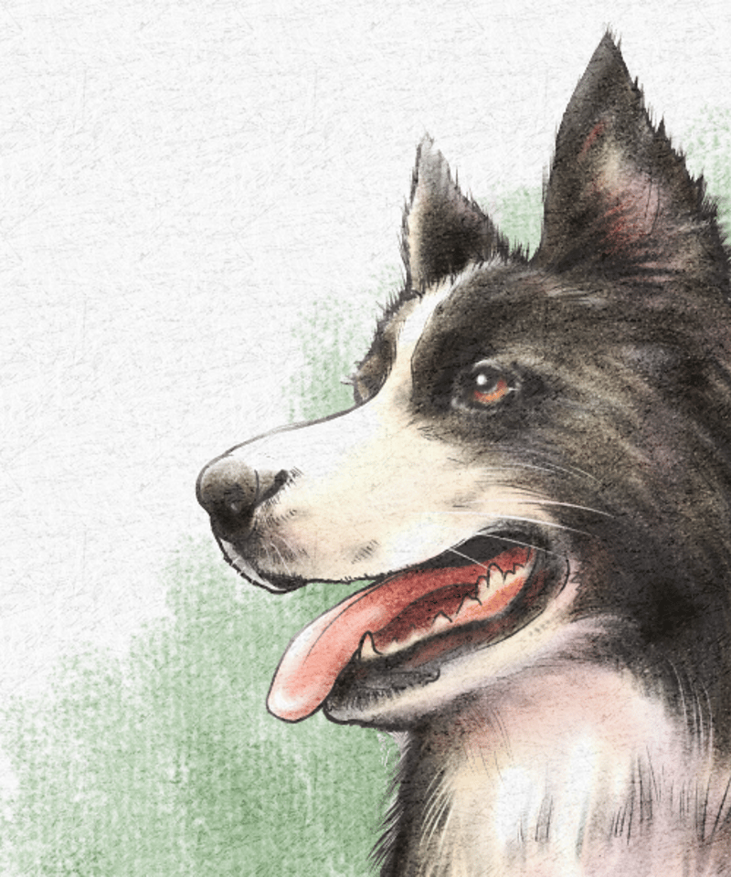 ペットリアル系似顔絵A3 すぐに飾れるキャンバス印刷‼︎ | 似顔絵作家