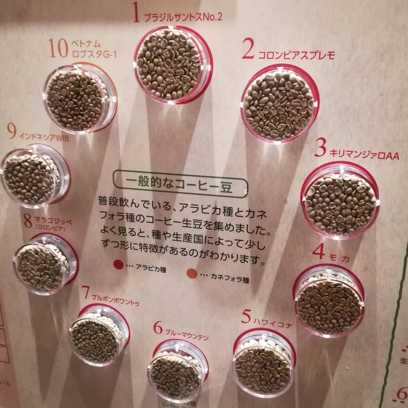 直火焙煎珈琲豆 コロンビア 豆200g | 三河屋珈琲焙煎所