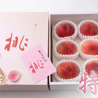 (特秀)高糖度/化粧箱入り日川白鳳【20箱限定!、送料込】5～7玉入り／6月下旬～7月上旬発送予定