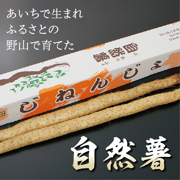 岐阜県産　掘り立て　天然自然薯600グラム‼️ 静岡県産 自然薯 600g 下処理済 冷蔵 | 山の貴婦人公式