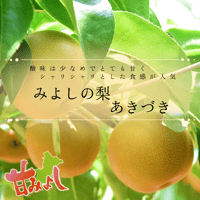 みよしの梨　あきづき約5kg（12玉・14玉）／9月上旬～下旬発送