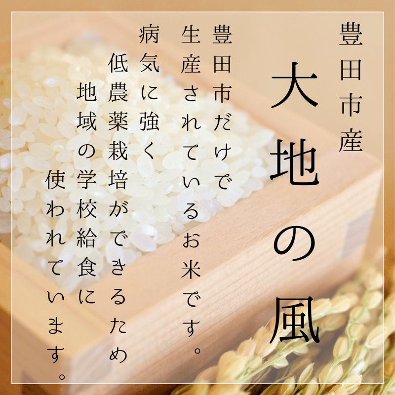 愛知県産　精米　大地の風　10㎏ 楽天市場】【令和4年産】【白米】 送料無料 愛知産 大地の風