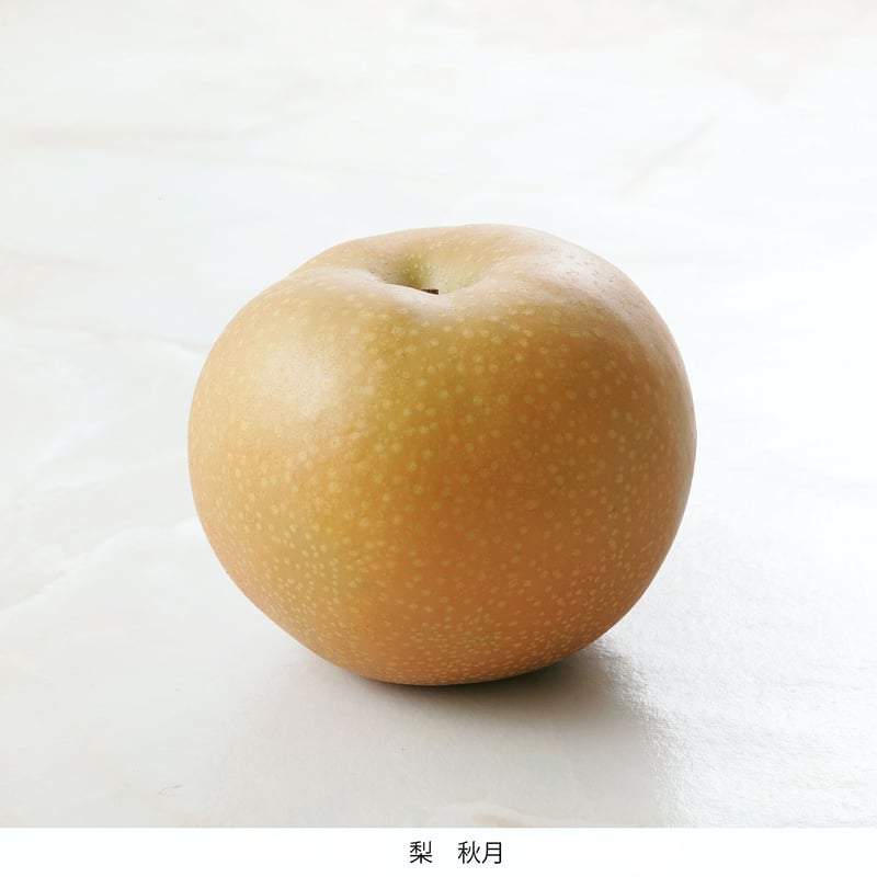 数量限定】とよたの梨約5kg あきづき(10玉～14玉）／9月上旬～下旬発送