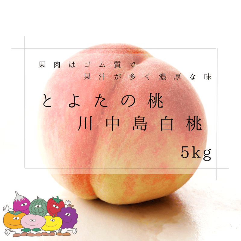 赤秀)とよたの桃約5kg 川中島白桃(13玉～18玉）／8月上旬～8月中旬発送