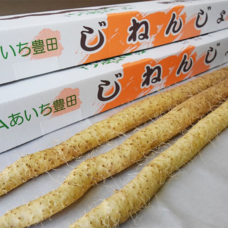 黒部産・超粘り!赤土粘土の典型的天然自然薯109cm1本(添木・泥 黒部産・超粘り!赤土粘土の典型的天然自然薯109cm1本(添木・泥